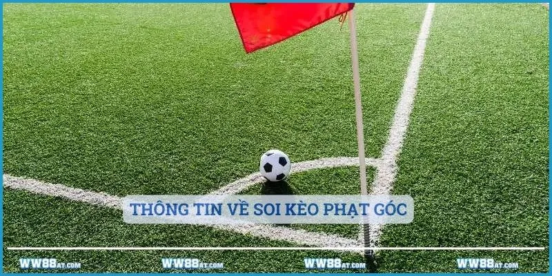 Thông tin về soi kèo phạt góc